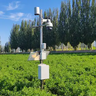 LM-P301D 可见光植被物候观测系统
